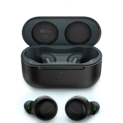 Amazon Echo Buds (newest model)